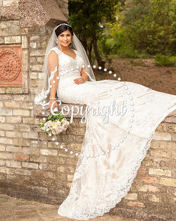 Zilker Botanical Garden Austin Bridal