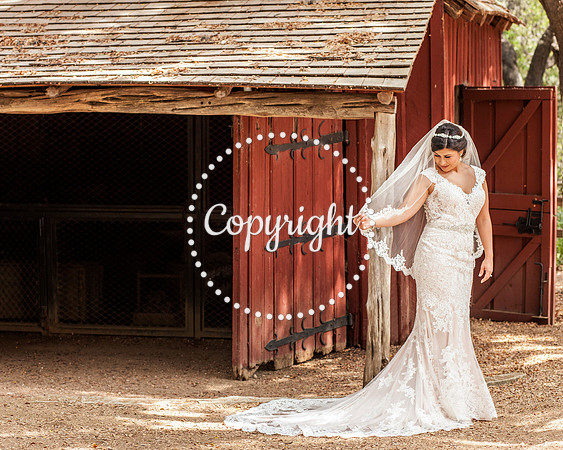 Zilker Botanical Garden Austin Bridal