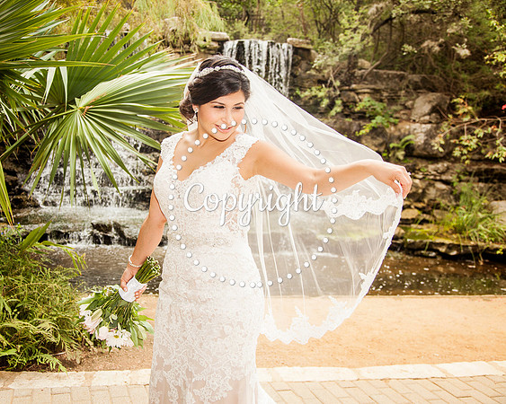 Zilker Botanical Garden Austin Bridal