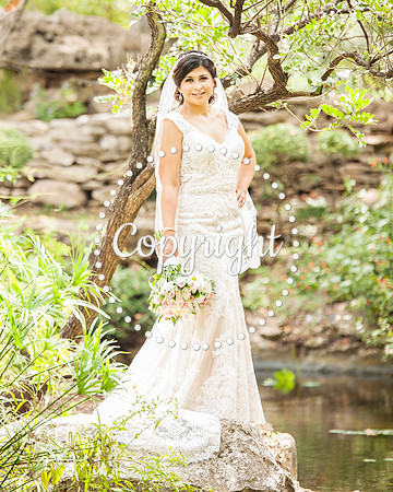 Zilker Botanical Garden Austin Bridal