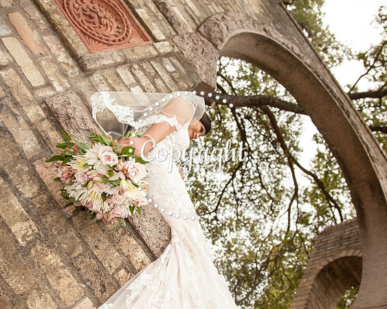 Zilker Botanical Garden Austin Bridal