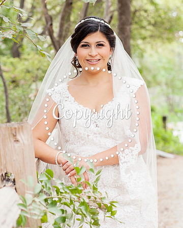 Zilker Botanical Garden Austin Bridal