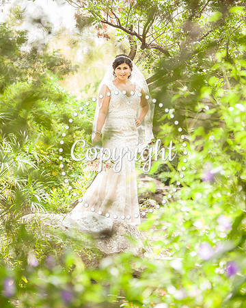 Zilker Botanical Garden Austin Bridal