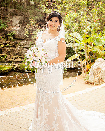 Zilker Botanical Garden Austin Bridal