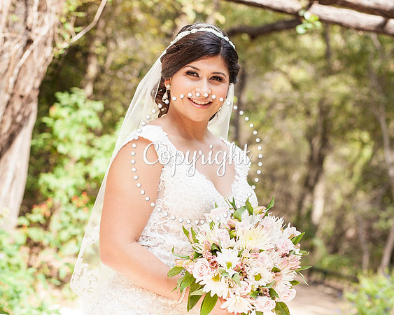 Zilker Botanical Garden Austin Bridal
