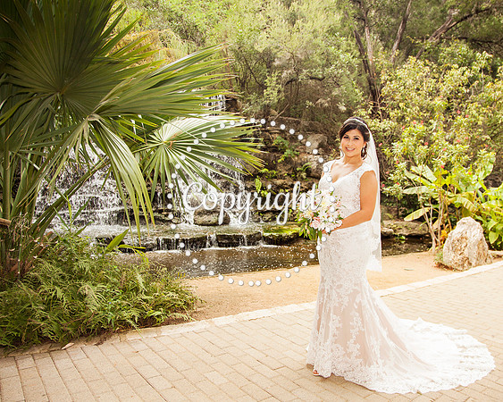 Zilker Botanical Garden Austin Bridal