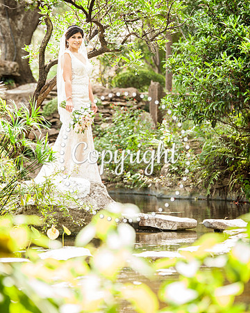 Zilker Botanical Garden Austin Bridal