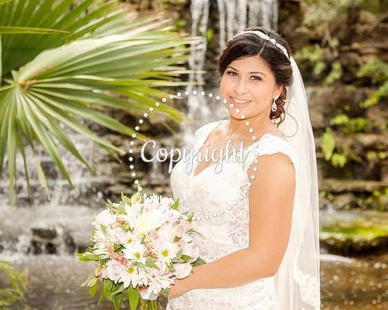 Zilker Botanical Garden Austin Bridal