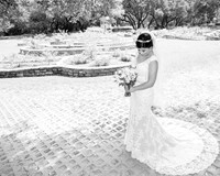 Zilker Botanical Garden Austin Bridal