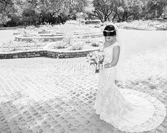 Zilker Botanical Garden Austin Bridal