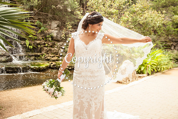Zilker Botanical Garden Austin Bridal
