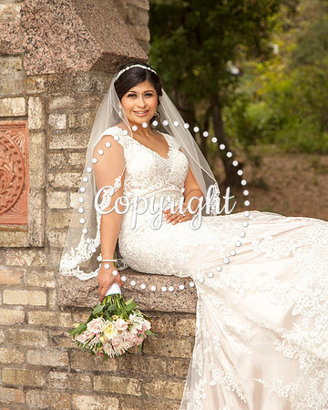 Zilker Botanical Garden Austin Bridal