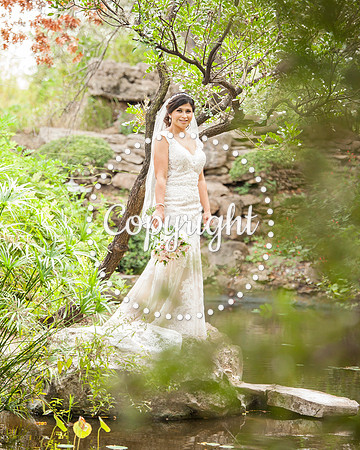 Zilker Botanical Garden Austin Bridal