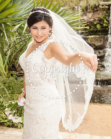 Zilker Botanical Garden Austin Bridal