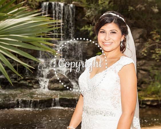 Zilker Botanical Garden Austin Bridal