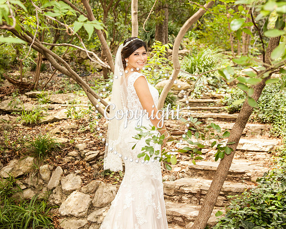 Zilker Botanical Garden Austin Bridal