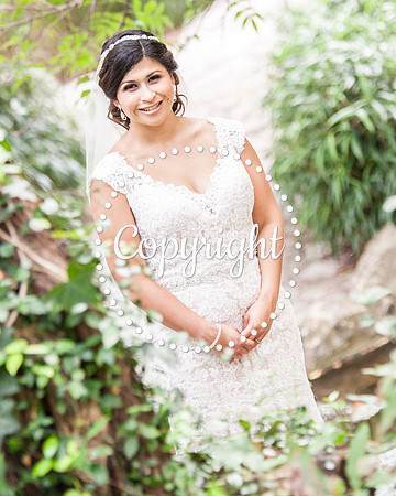 Zilker Botanical Garden Austin Bridal