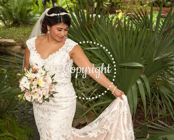 Zilker Botanical Garden Austin Bridal