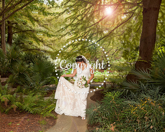 Zilker Botanical Garden Austin Bridal