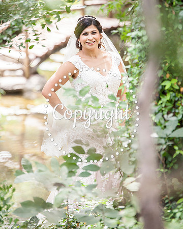Zilker Botanical Garden Austin Bridal