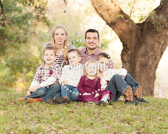 Family Photography Session