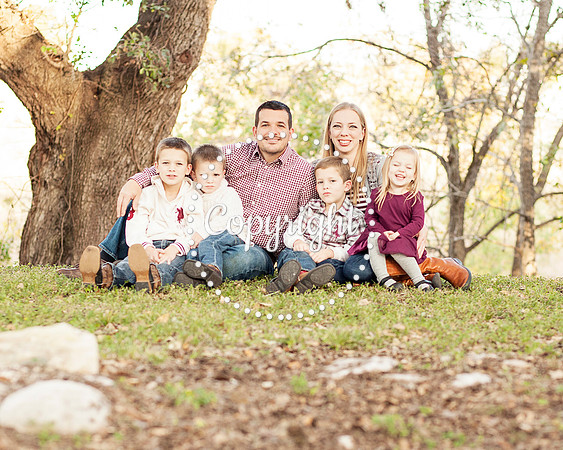 Family Photography Session