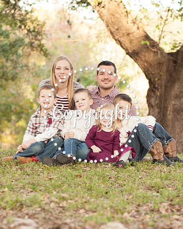 Family Photography Session