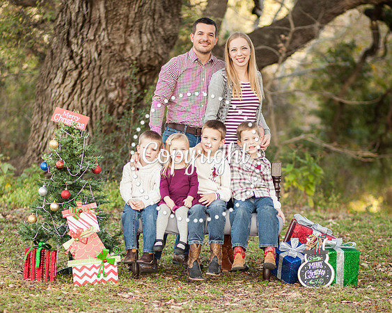 Family Photography Session