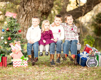 Family Photography Session