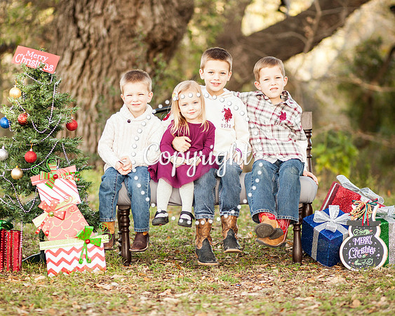 Family Photography Session