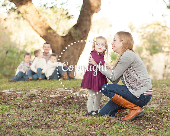 Family Photography Session