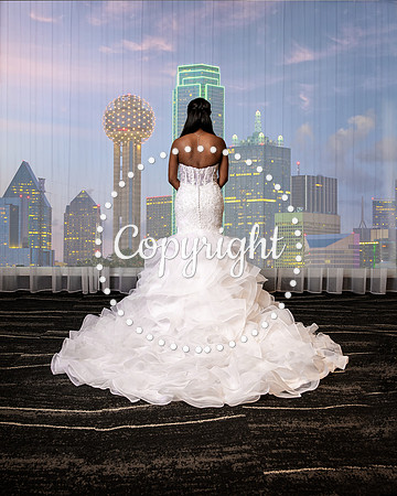 Bridal Krycel at Lorenzo Hotel Skye Ballroom in Downtown Dallas