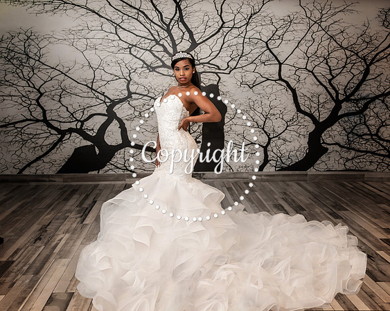 Bridal Krycel at Lorenzo Hotel Skye Ballroom in Downtown Dallas
