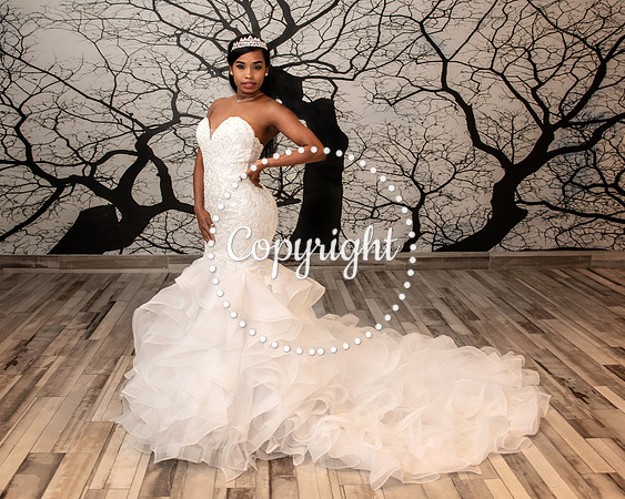 Bridal Krycel at Lorenzo Hotel Skye Ballroom in Downtown Dallas