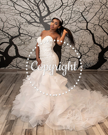 Bridal Krycel at Lorenzo Hotel Skye Ballroom in Downtown Dallas