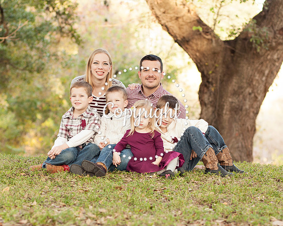 Family Photography Session