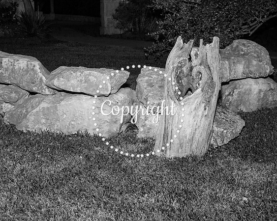 Creekside Venue in Dripping Springs Wedding