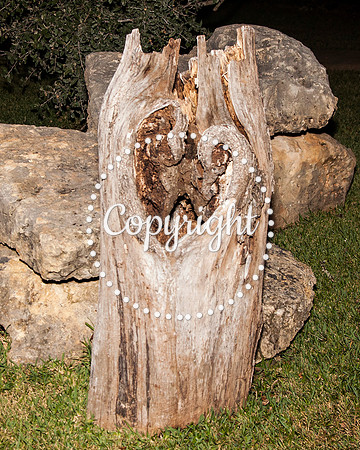 Creekside Venue in Dripping Springs Wedding
