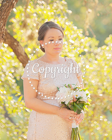 Creekside Venue in Dripping Springs Wedding