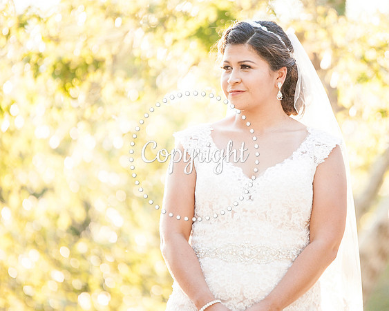 Creekside Venue in Dripping Springs Wedding