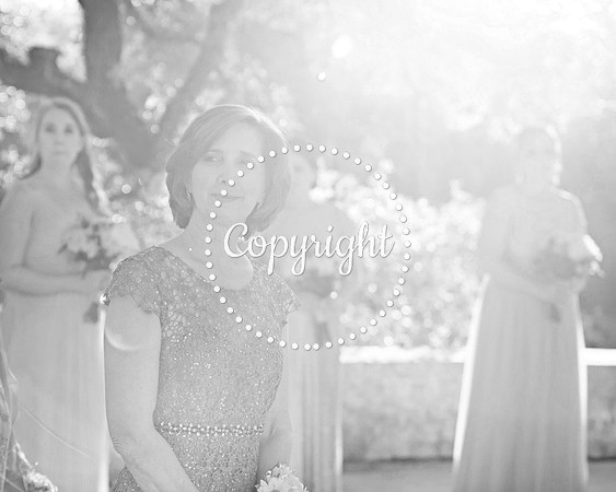 Creekside Venue in Dripping Springs Wedding