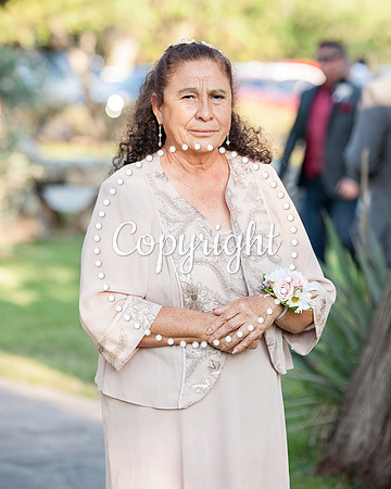 Creekside Venue in Dripping Springs Wedding