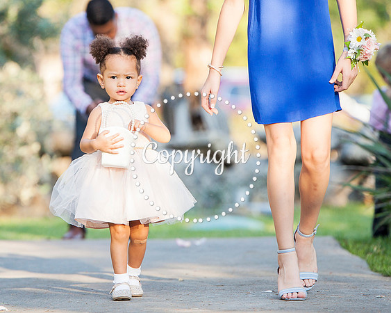 Creekside Venue in Dripping Springs Wedding