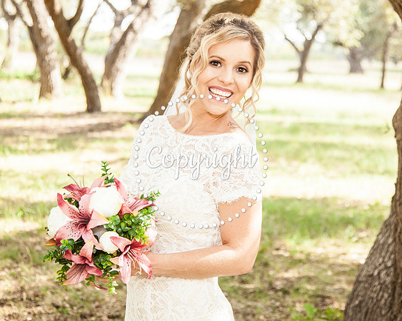Trattoria Lisina Winery  Bridal Shoot