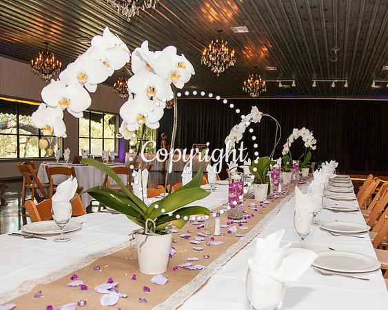 Creekside Venue in Dripping Springs, Texas Wedding