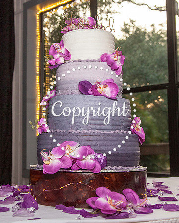 Creekside Venue in Dripping Springs, Texas Wedding