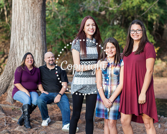 Family Photo Session