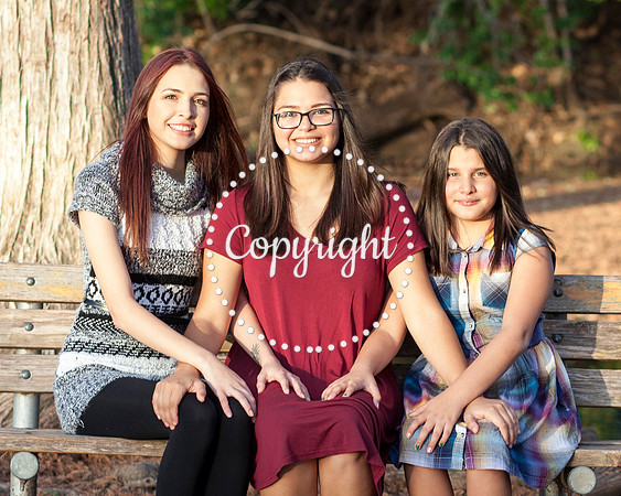 Family Photo Session