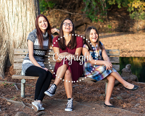 Family Photo Session