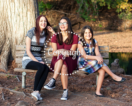 Family Photo Session